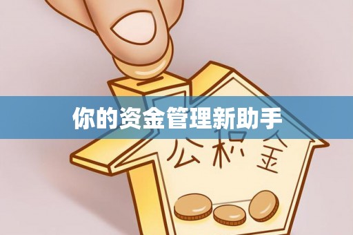 喀什你的资金管理新助手