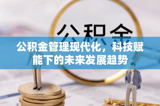 喀什公积金管理现代化，科技赋能下的未来发展趋势