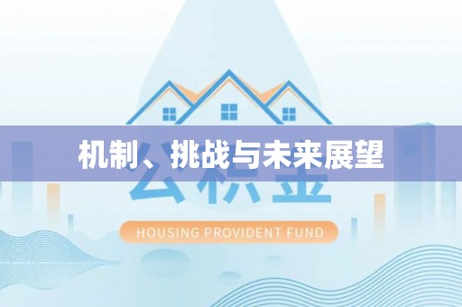 喀什机制、挑战与未来展望